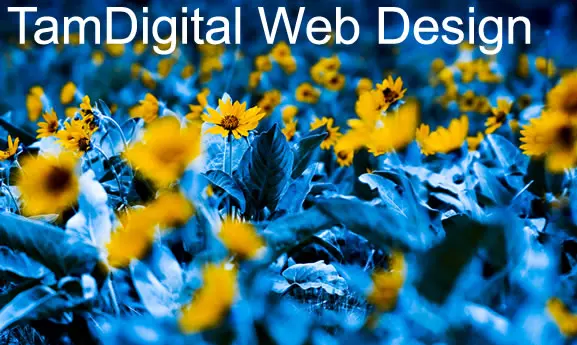 Business and Corporate Website Design